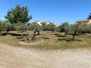 Vente Terrain 250 m2 Aubignan