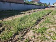 Vente Terrain 250 m2 Sérézin du Rhône