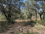 Vente Terrain 2559 m2 Sainte Croix de Quintillargues