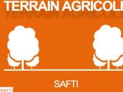 Vente Terrain 2570 m2 Nans les Pins