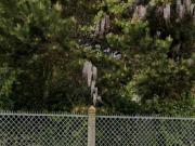 Vente Terrain 260 m2 Antony