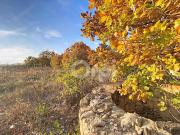 Vente Terrain 27000 m2 Fourques