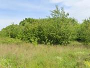 Vente Terrain 2700 m2 Saint Médard de Mussidan