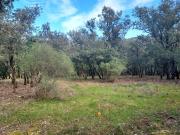 Vente Terrain 2700 m2 Sainte Anastasie sur Issole