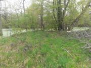 Vente Terrain 2798 m2 Toury Lurcy