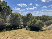 Vente Terrain 2800 m2 Altillac