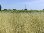 Vente Terrain 2930 m2 Saint Même les Carrières