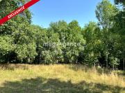 Vente Terrain 2935 m2 Chantérac