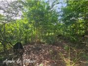 Vente Terrain 2983 m2 Bouillante