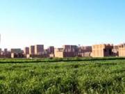 Vente terrain 300000 m² à Temara