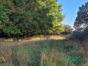 Vente Terrain 300 m2 Antony