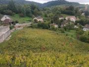 Vente Terrain 3014 m2 Arbois