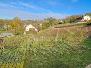 Vente Terrain 3014 m2 Arbois
