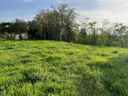 Vente Terrain 302 m2 Bollene