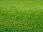 Vente Terrain 3172 m2 Caen