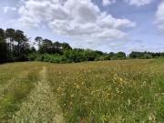 Vente Terrain 3221 m2 Montagnac la Crempse