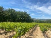 Vente Terrain 322900 m2 Plan de la Tour