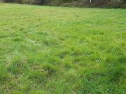 Vente Terrain 326 m2 Vannes