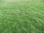 Vente Terrain 330 m2 Maulette