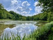 Vente Terrain 33171 m2 Lomont