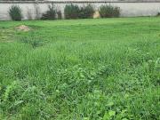 Vente Terrain 340 m2 Bron