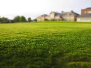 Vente Terrain 341 m2 Quilly