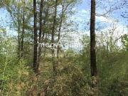 Vente Terrain 34500 m2 Aillas