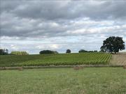 Vente Terrain 3475 m2 Saint Julien de Chédon