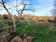 Vente Terrain 3512 m2 Le Champ Saint Père