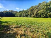 Vente Terrain 3655 m2 Noe