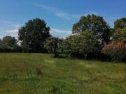 Vente Terrain 3727 m2 Plessé