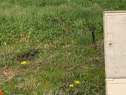 Vente Terrain 373 m2 La Plaine sur Mer