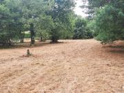 Vente Terrain 380 m2 Salles