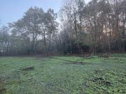 Vente Terrain 3871 m2 Canejan