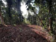 Vente Terrain 3882 m2 Petit bourg