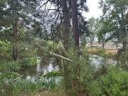 Vente Terrain 3937 m2 Saint Martin d'Abbat