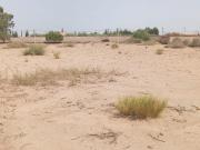 Vente terrain 3940 m² à Marrakech