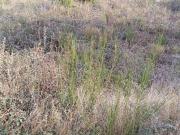 Vente Terrain 394 m2 Pia