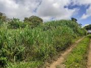 Vente Terrain 3952 m2 Sainte Suzanne