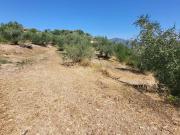 Vente Terrain 3964 m2 La trinite