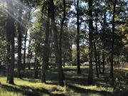 Vente Terrain 399 m2 Angers