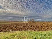 Vente Terrain 4000 m2 Faudoas