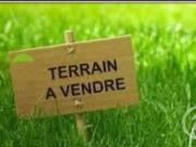 Vente Terrain 4000 m2 Talcy