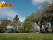 Vente Terrain 400 m2 Flourens