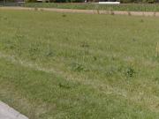 Vente Terrain 400 m2 Mourmelon le Grand