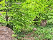 Vente Terrain 400 m2 Nimes