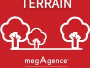 Vente Terrain 40135 m2 Alluyes