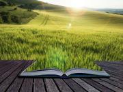 Vente Terrain 401 m2 Commequiers