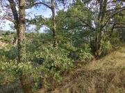 Vente Terrain 4087 m2 Castres