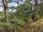 Vente Terrain 4087 m2 Castres